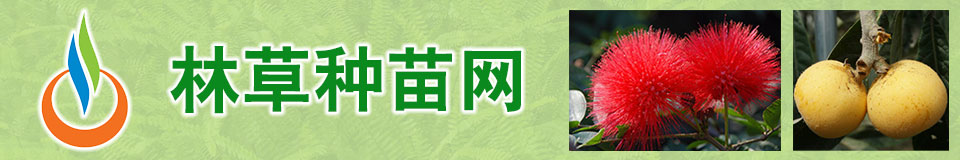 蘇州沙家浜旅游發(fā)展有限公司